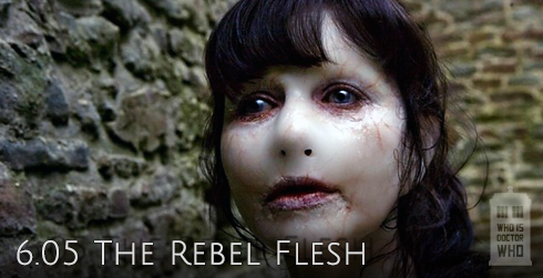 s06e05 The Rebel Flesh
